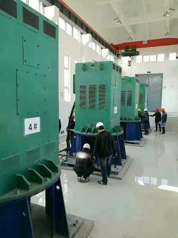 江永某污水处理厂使用我厂的立式高压电机安装现场